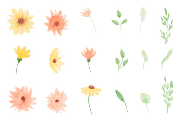 A Set Flowers Watercolor: A Designer's Review for Real Projects