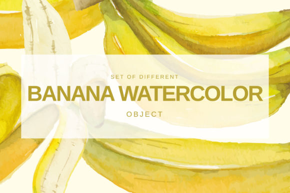 Banana Watercolor Illustrations