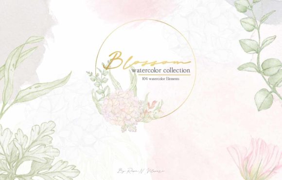 Blossom - Watercolor Illustrations