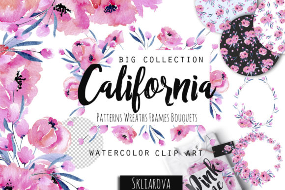 California Watercolor Pink Poppies Clipart
