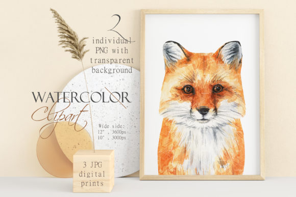 Fox Clipart Watercolor Little Fox Illustrations
