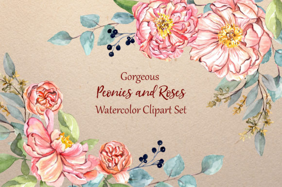 Gorgeous Peonies and Roses Watercolor Illustrations