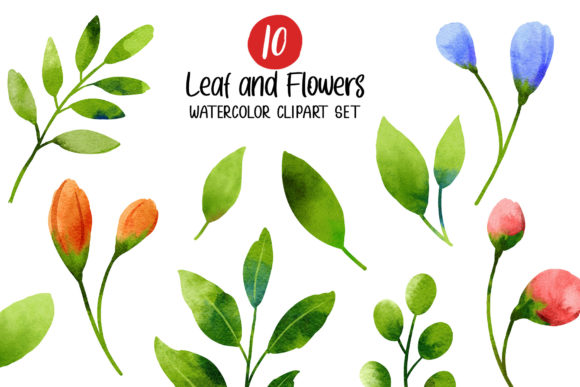 Leaf and Flowers Watercolor Clipart Illustrations