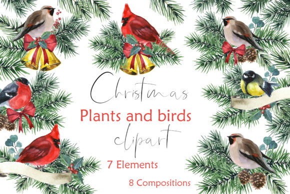 Review: Watercolor Holiday Decor Clipart Birds for Embroidery