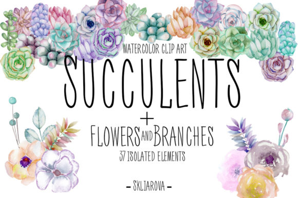 Succulents Watercolor Clipart and Illustrations