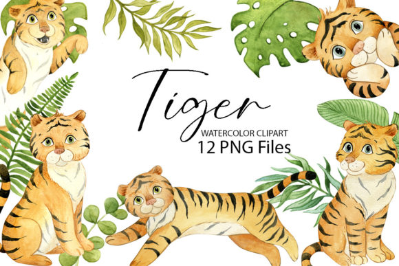 Tiger Clipart: Watercolor Wild Cats Illustrations
