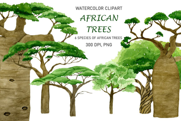 Watercolor African Trees Forest Illustrations