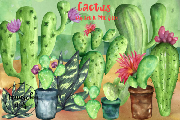 Watercolor Cactus Clipart Succulent Illustrations
