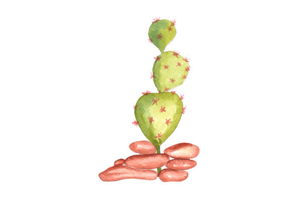 Watercolor Cactus with Brownstone Illustrations Review