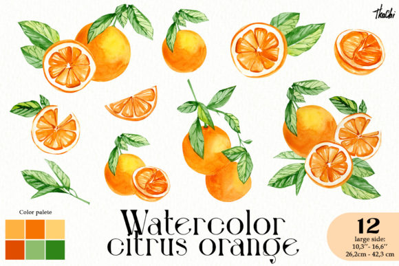 Watercolor Citrus Orange Clipart: Summer Illustrations