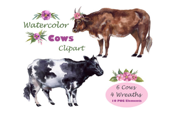 Watercolor Clipart Cow Illustrations