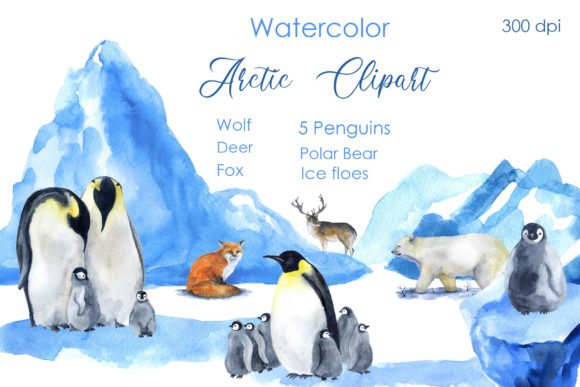 Watercolor Cute Clipart Arctic Animal Illustrations