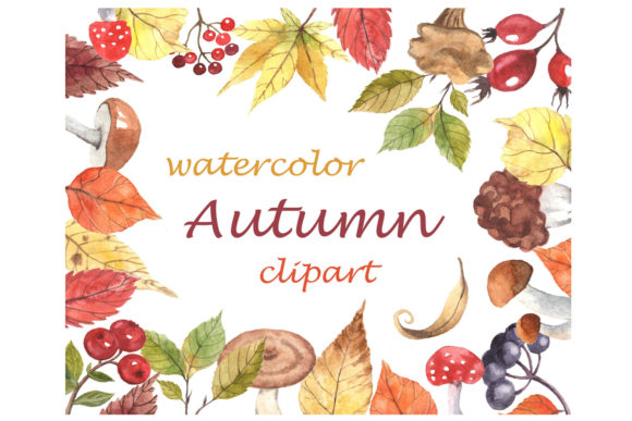 Watercolor Fall Clipart Leaves Art Png and Illustrations