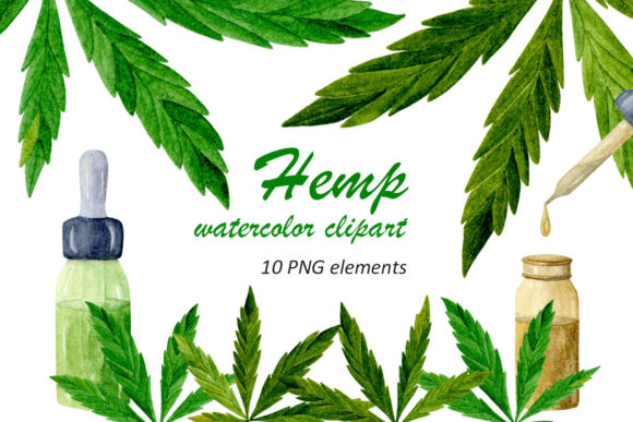 Watercolor Hemp Organic Oil Clipart