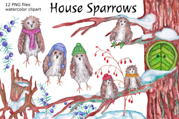 Watercolor House Sparrows Clipart and Illustrations