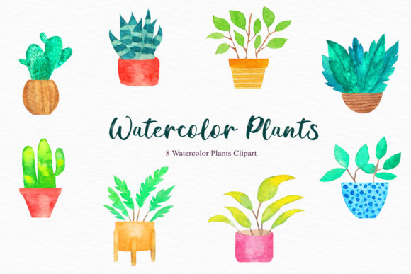 Watercolor Plants Clipart and Illustrations