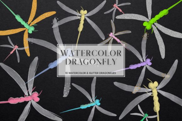 Watercolour Dragonfly Clip Art and Illustrations